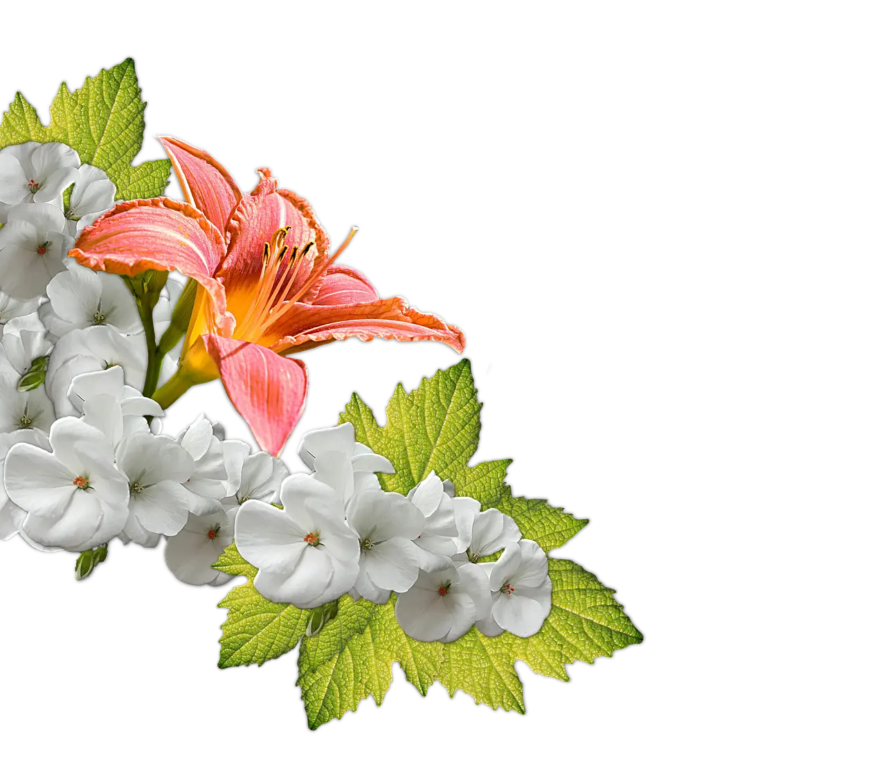 21 personlige gaveidéer til kæresten: til hende