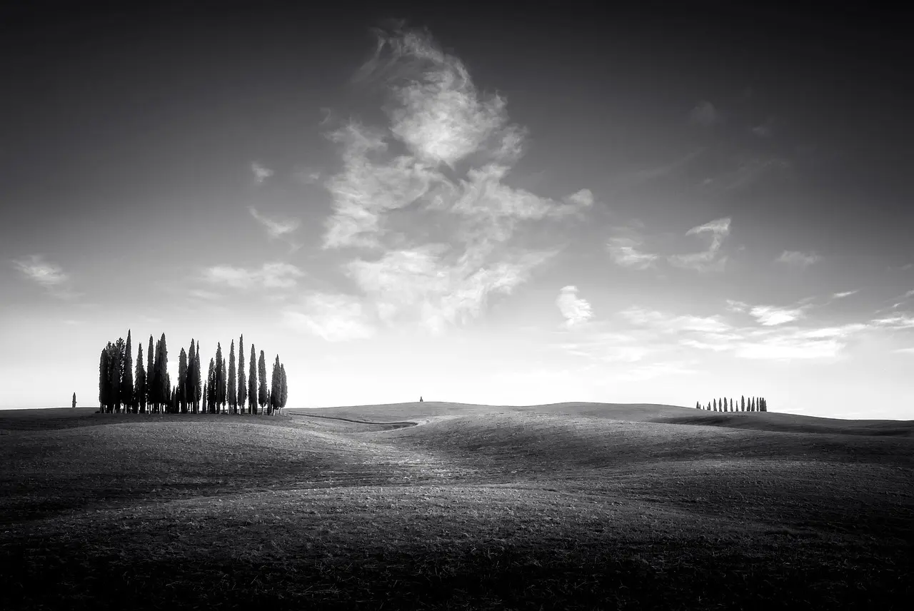 Gaveetikette til bryllup i udlandet