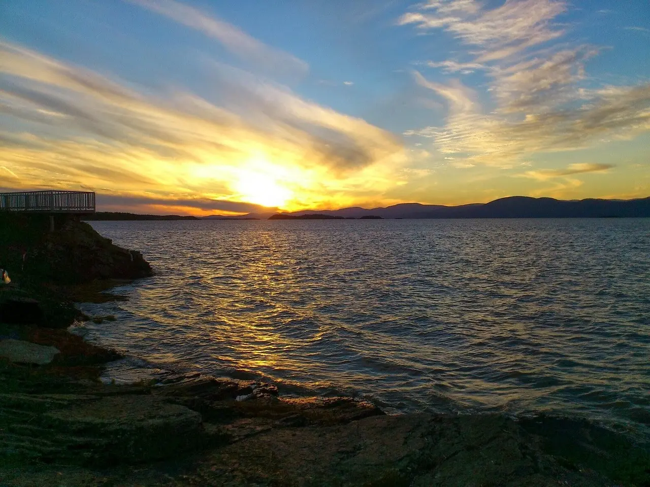 Medvirkende i No Hard Feelings